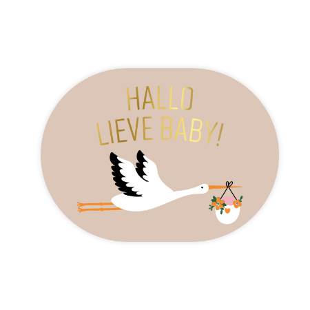 Stickers -Hallo lieve baby + Ooievaar 43 mm x 59 mm