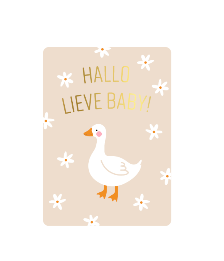 Mini kaartje - Hallo lieve baby + bloemen