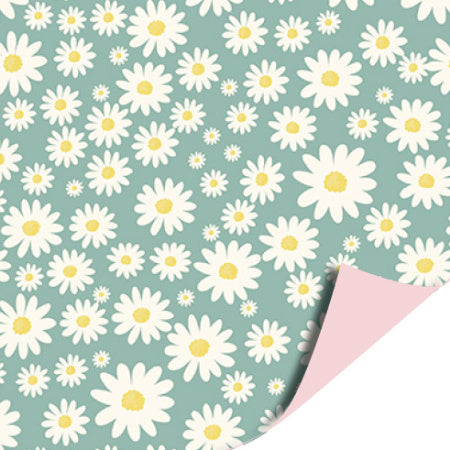 papier is het altijd een feestje om een cadeautje te geven.   Dit Inpakpapier heet Daisies mint en dit cadeaupapier is 30 cm x 3 meter.